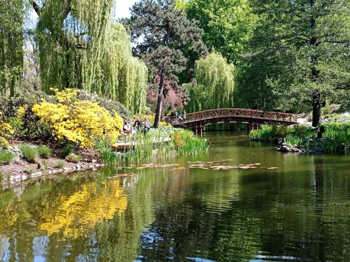 Ogród Botaniczny Uniwersytetu Wrocławskiego - zdjęcie główne